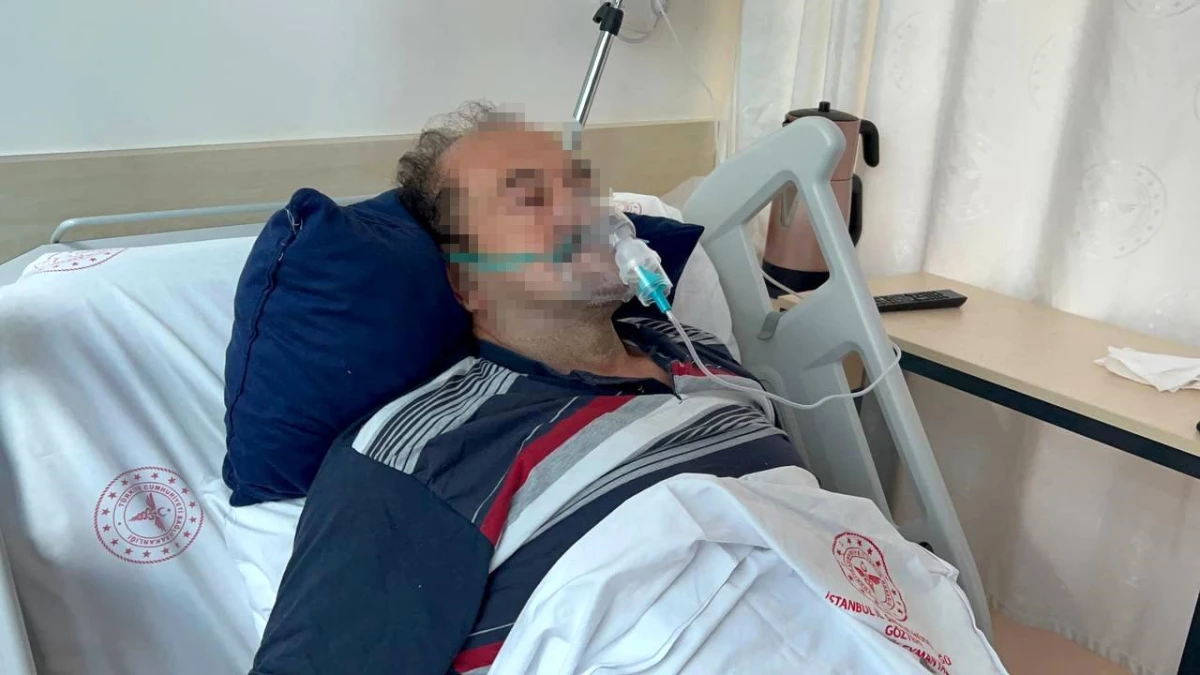 Üsküdar’da Budanmış Ağaçlar Yüzünden Tartışma: Halkın Kurtuluş Partisi Genel Başkanı Komşusunu Bıçakladı