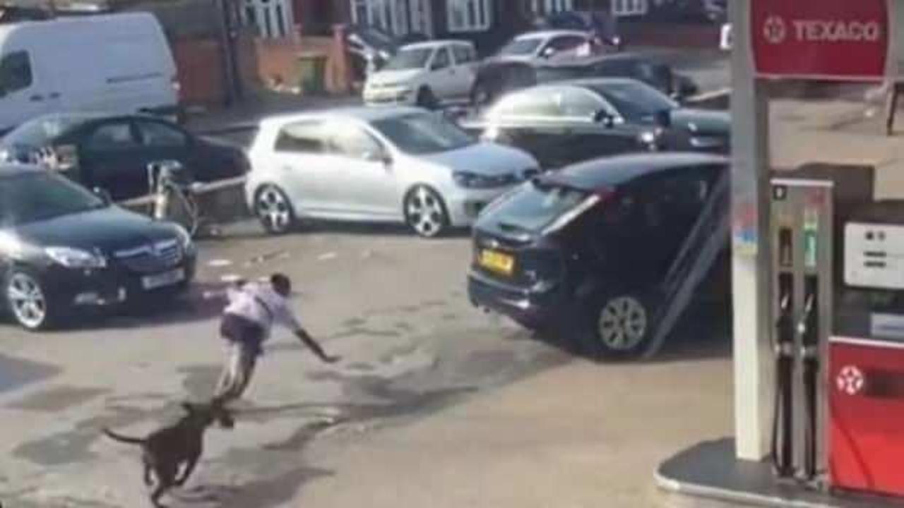 İngiltere’de köpek saldırısı: İçişleri Bakanı yasak için harekete geçti