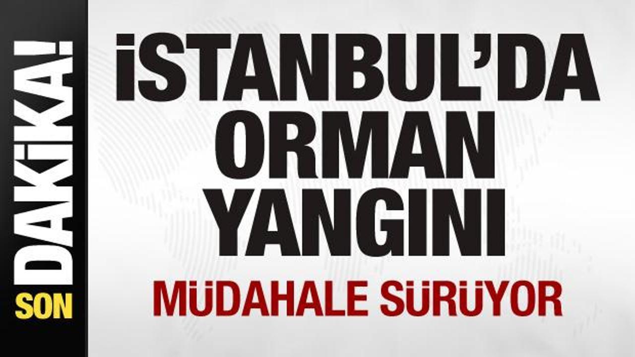İstanbul’da orman yangını! Müdahale sürüyor