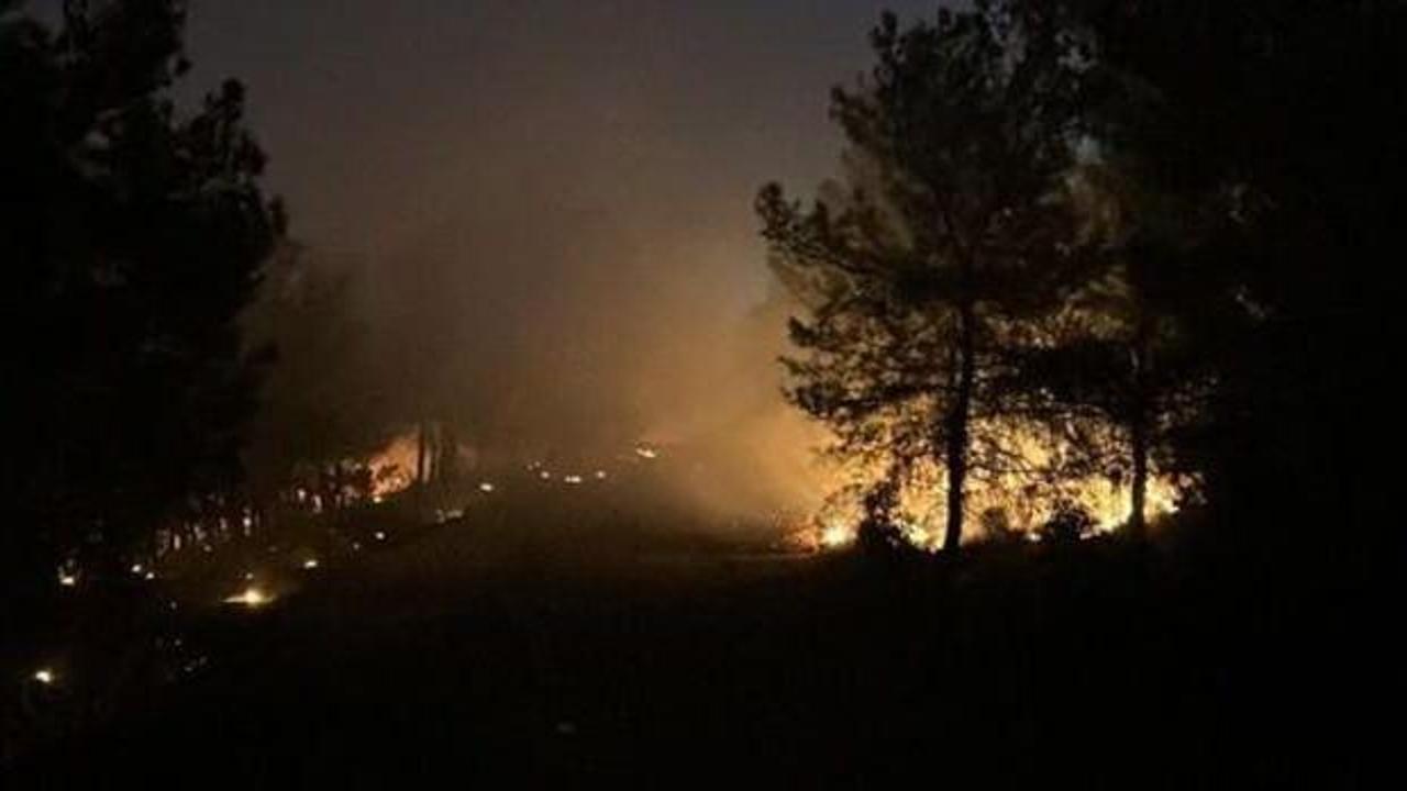 İzmir Buca’da orman yangını çıktı!