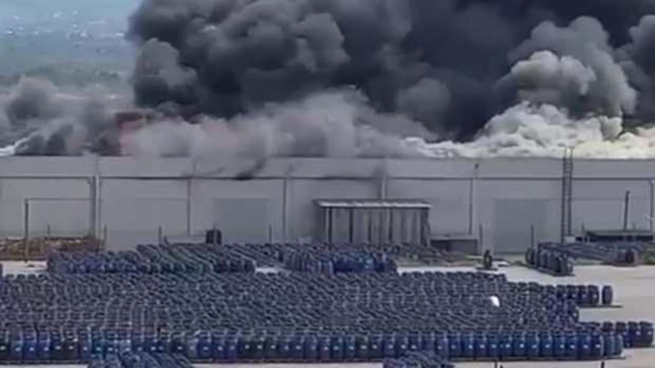 İzmir’de palet fabrikasında büyük yangın