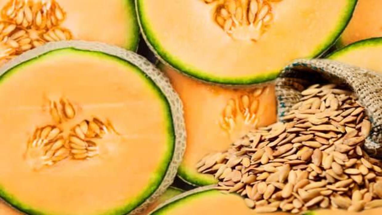 Kavun çekirdeği nasıl tüketilir? Kavun çekirdeğinin faydaları nelerdir? Kavun çekirdeği sütü…