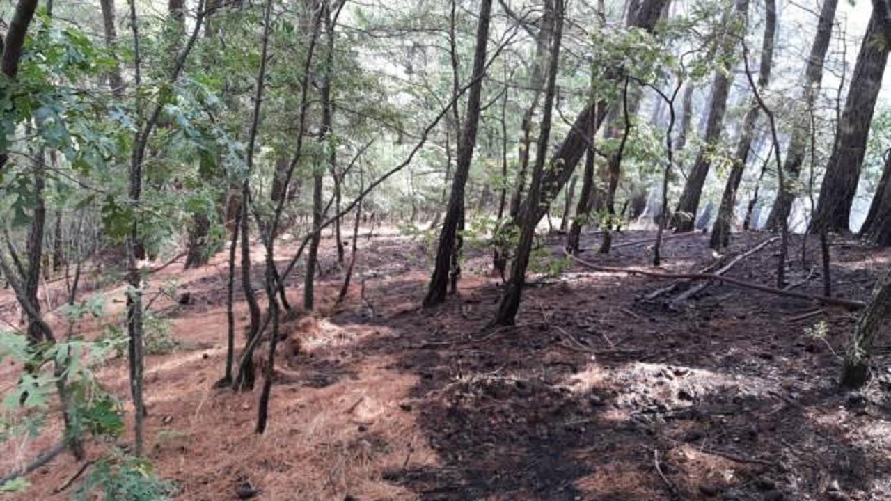 Kazdağları’ndaki orman yangını söndürüldü