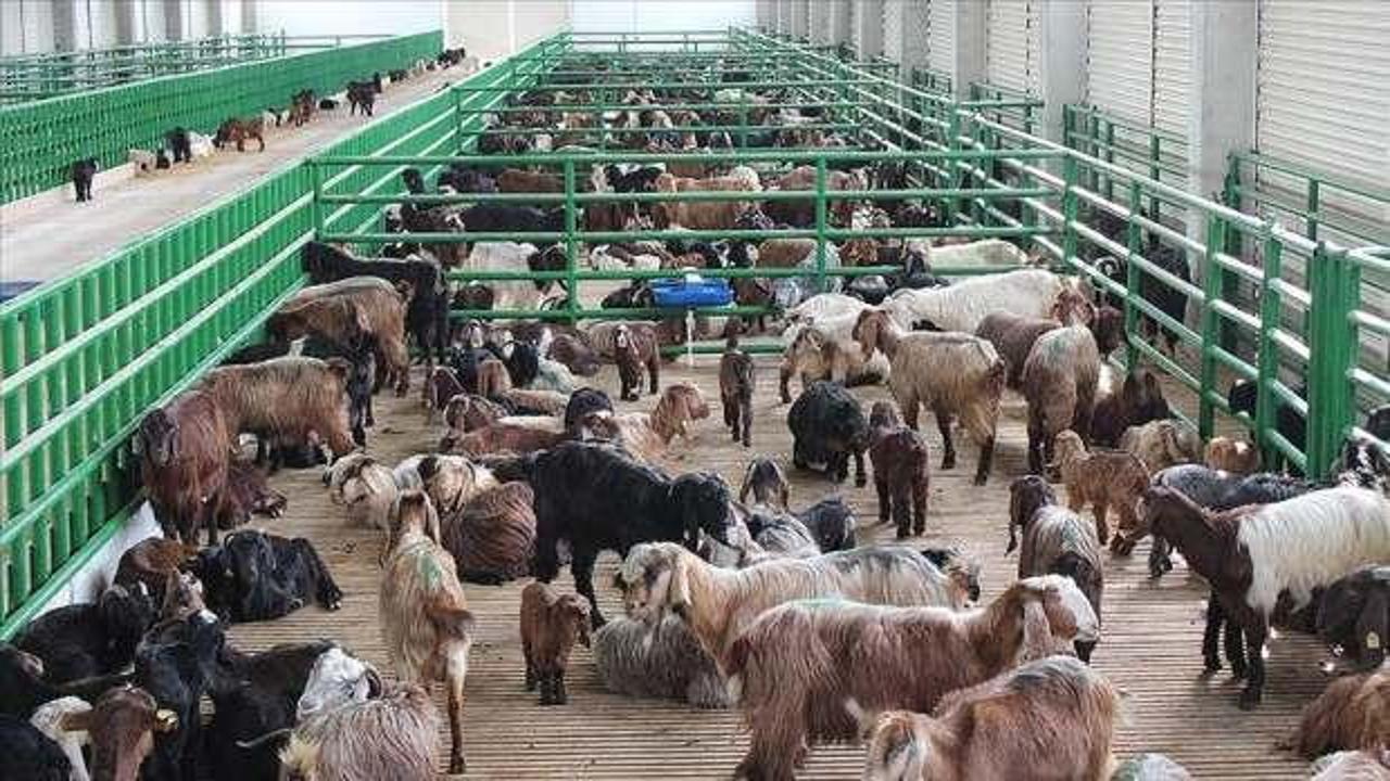 Kırsalda 12 yılda 98 milyar liralık yatırım hayata geçirildi