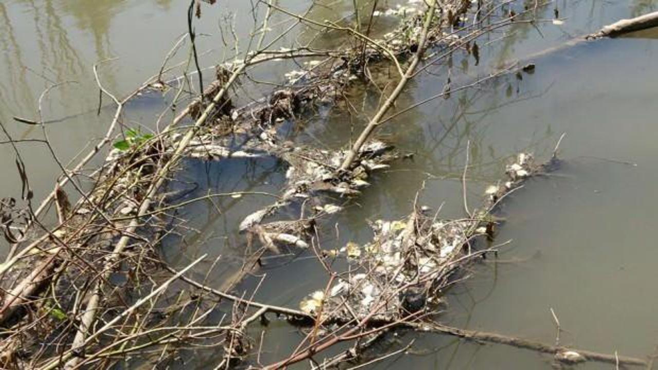 Kızılırmak’ta korkutan manzara!