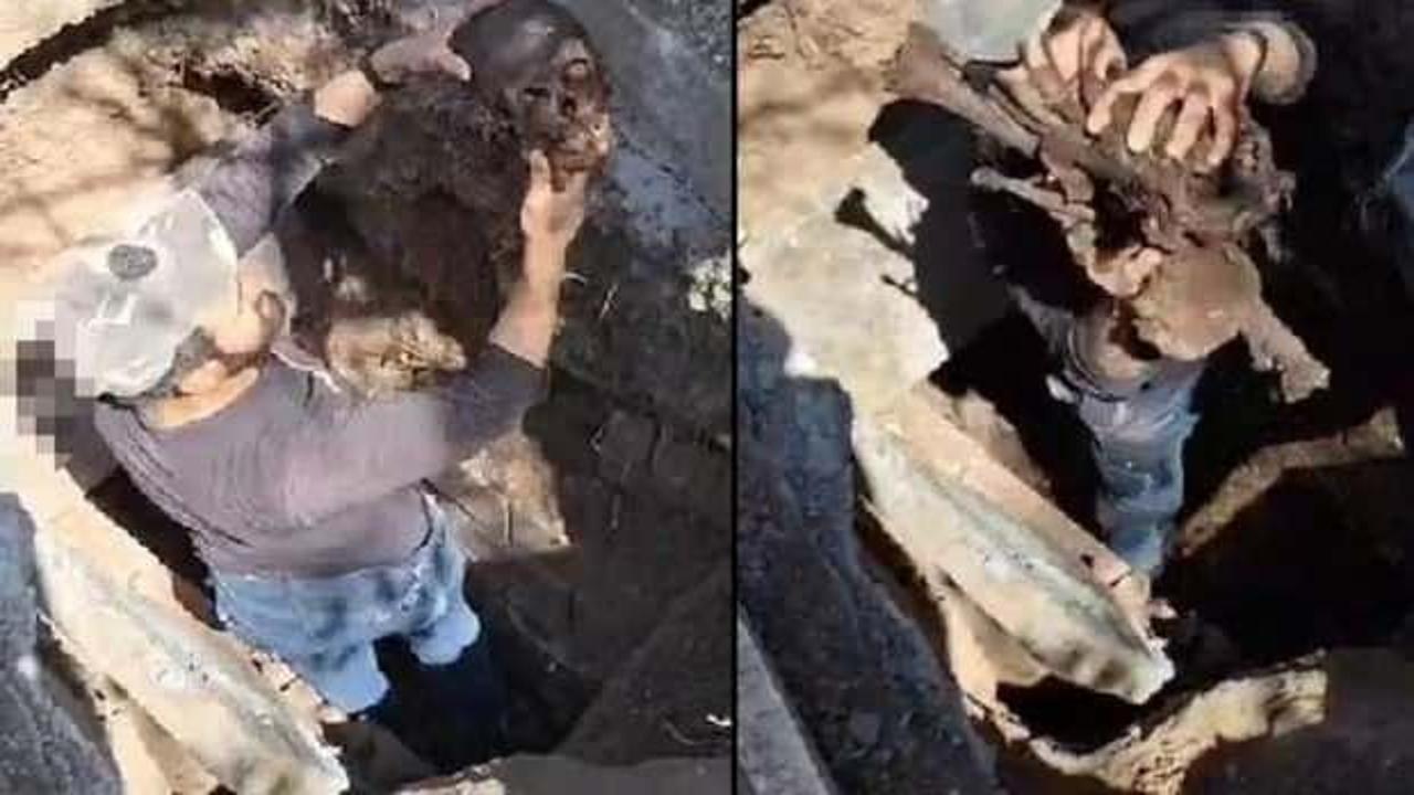 Şoke eden manzara! Mezardan kemikleri çıkardı! Kafatasını öpüp salladı