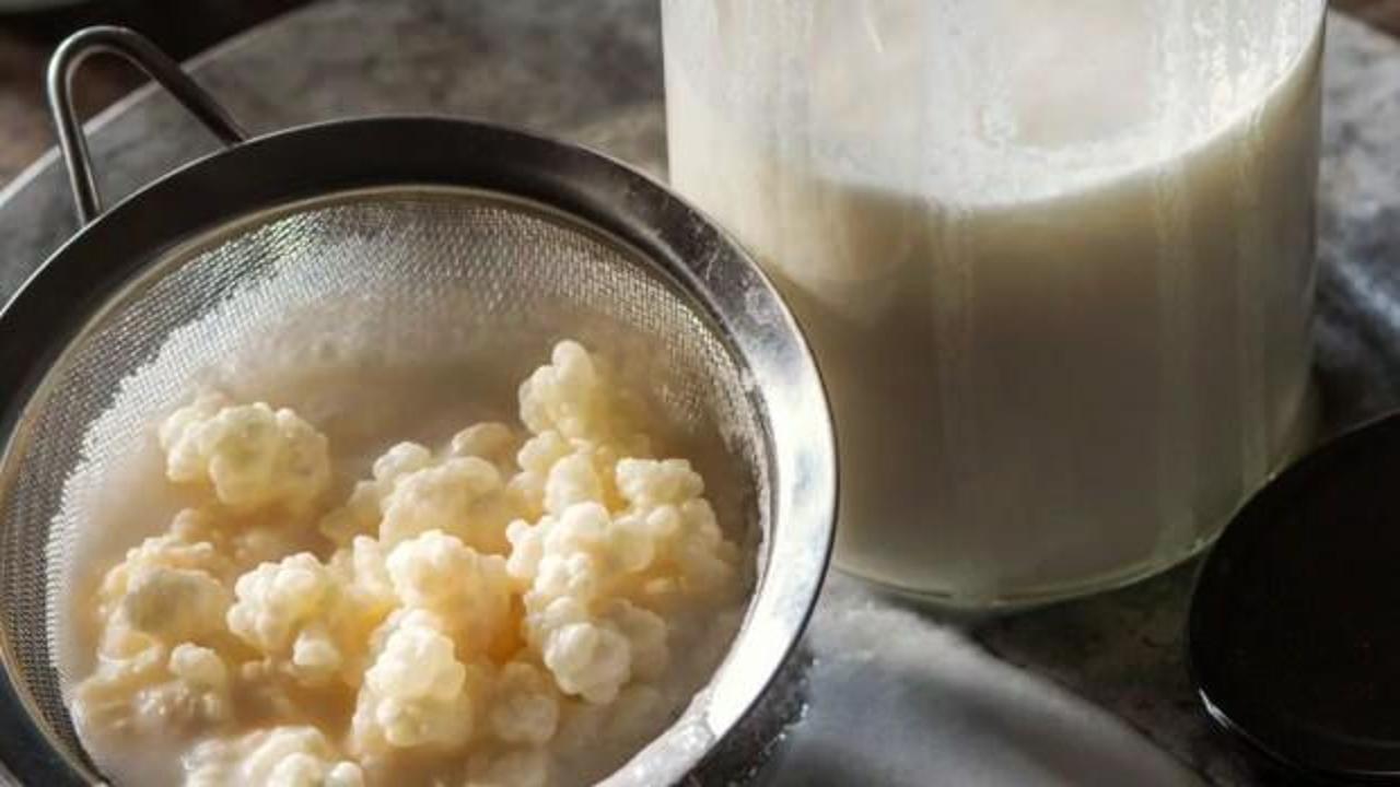 Sabah aç karnına kefir içmenin faydaları nedir? Her gün kefir içmek, laktozsuz kefir…