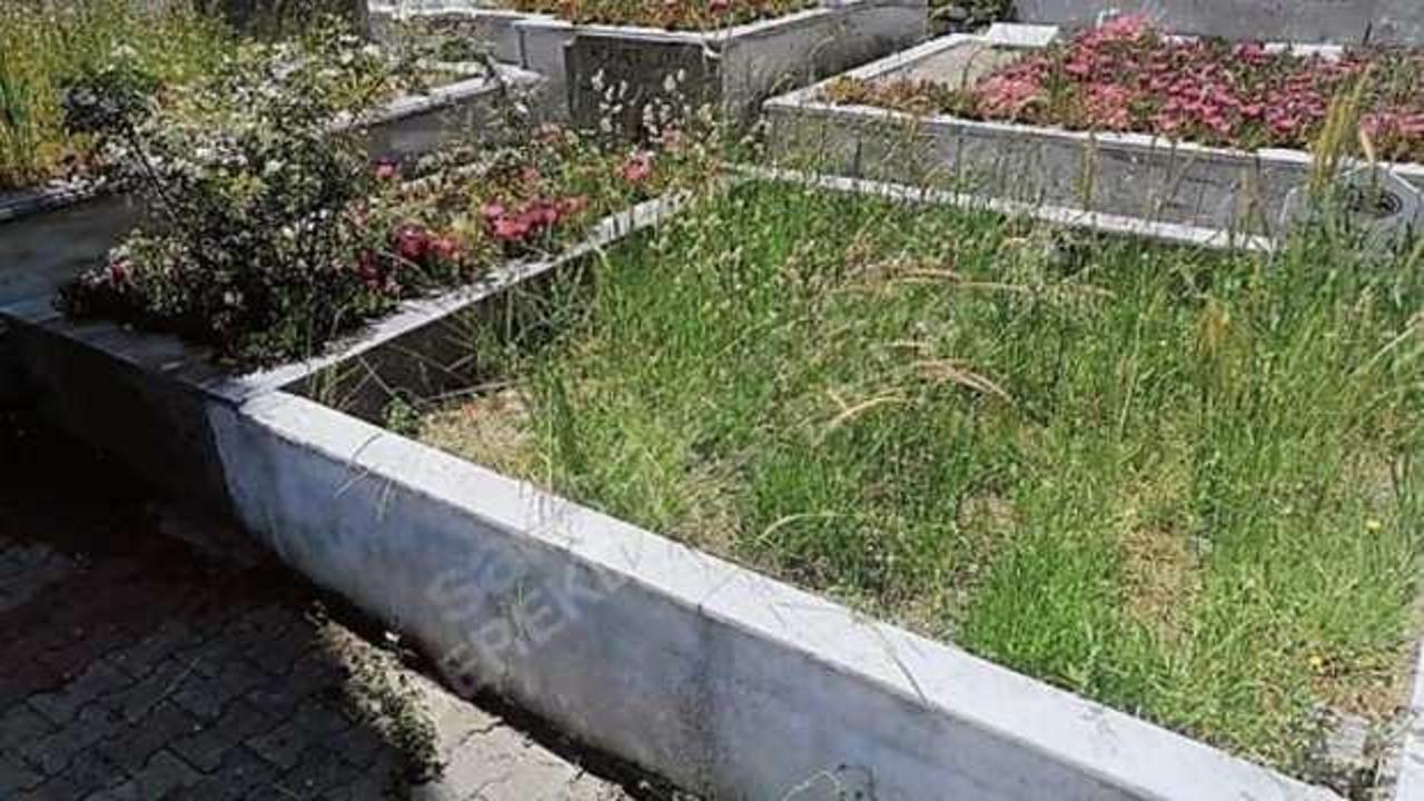 ‘Sabancı’ya komşu’ diyerek 7,5 milyon TL’den mezar yeri ilana koydu!