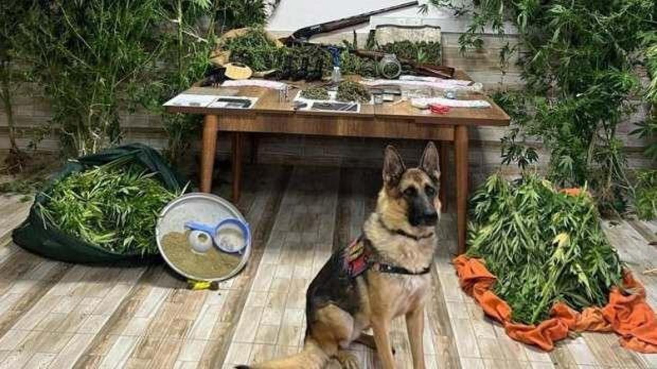 Sakarya’da uyuşturucu operasyonu: 6 gözaltı