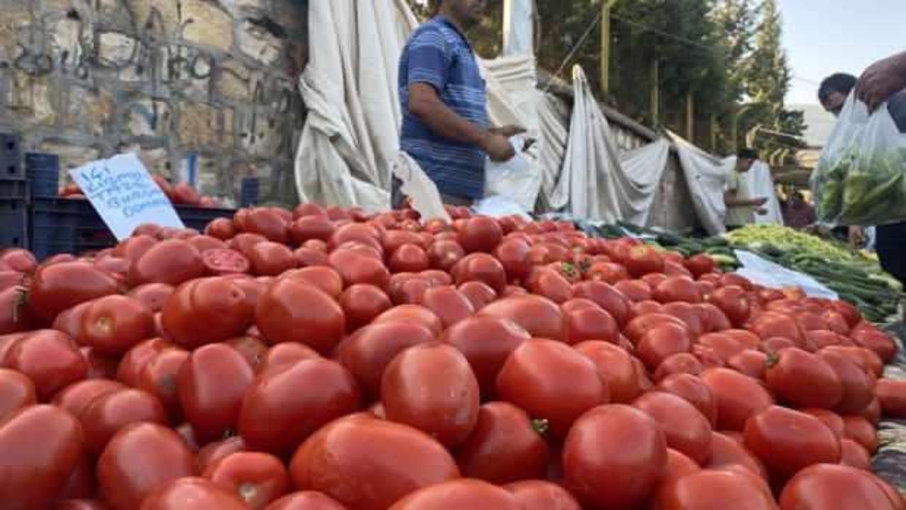 Salçalık domates ve biberler tezgahlarda