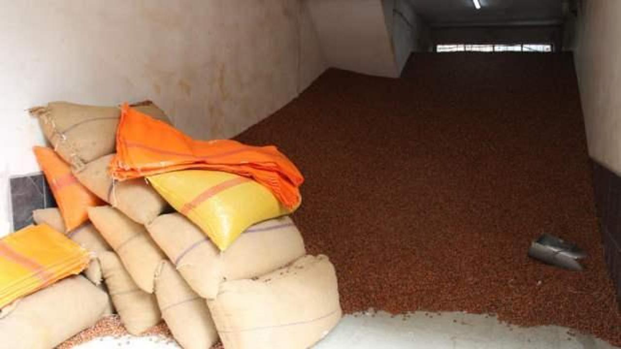 Serbest piyasada fındık 100 TL’ye ulaştı