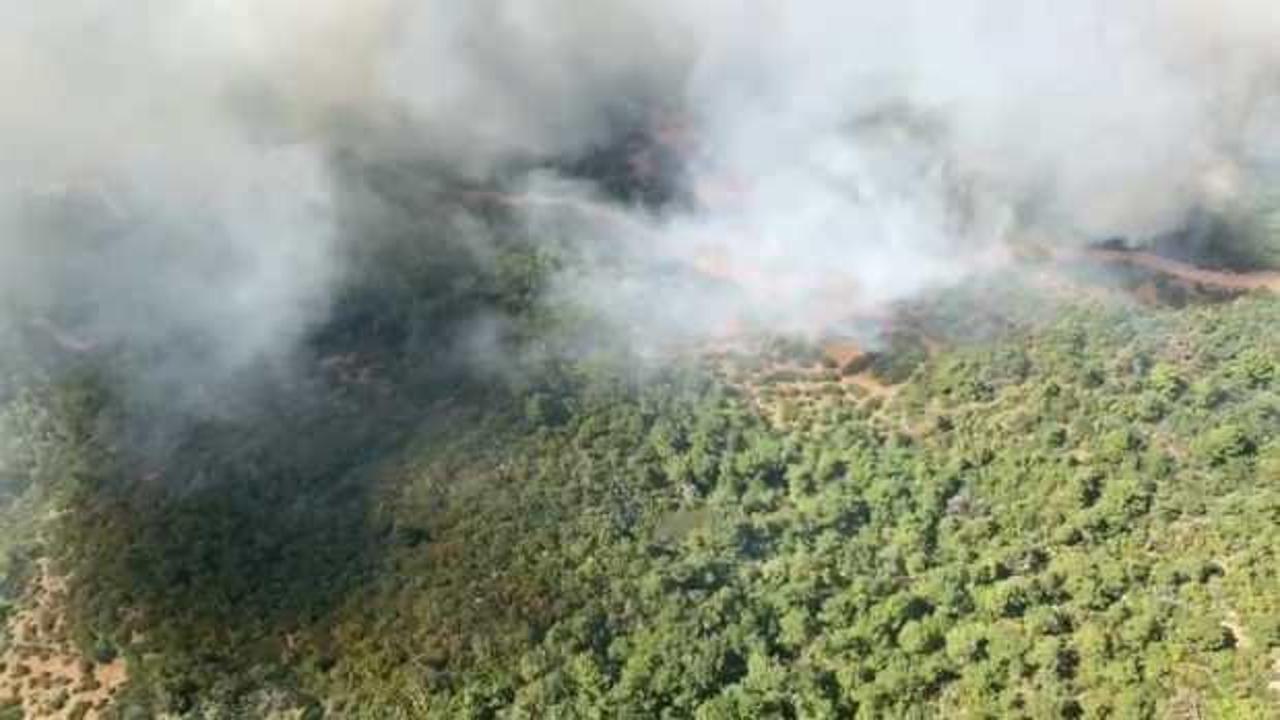 Soma’da orman yangını!