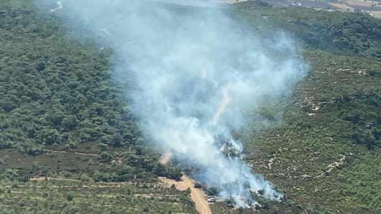 Son Dakika: İzmir’de orman yangını!