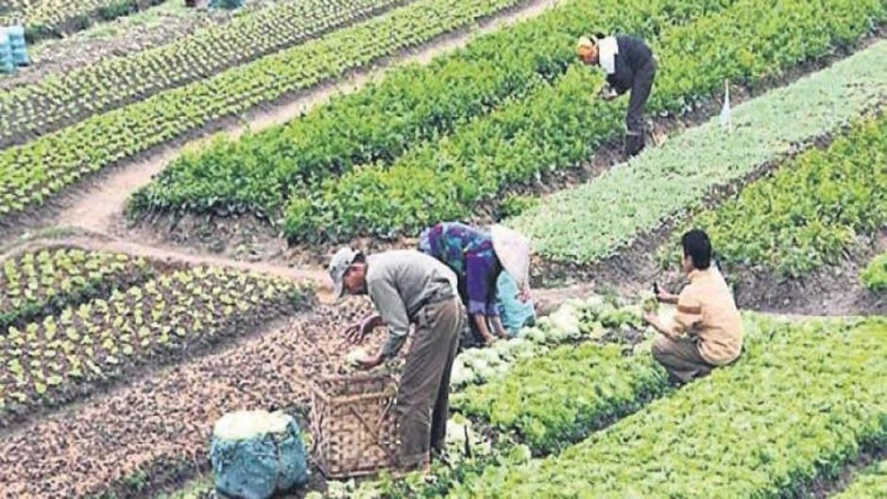 Tarımda yeni dönem resmen başladı