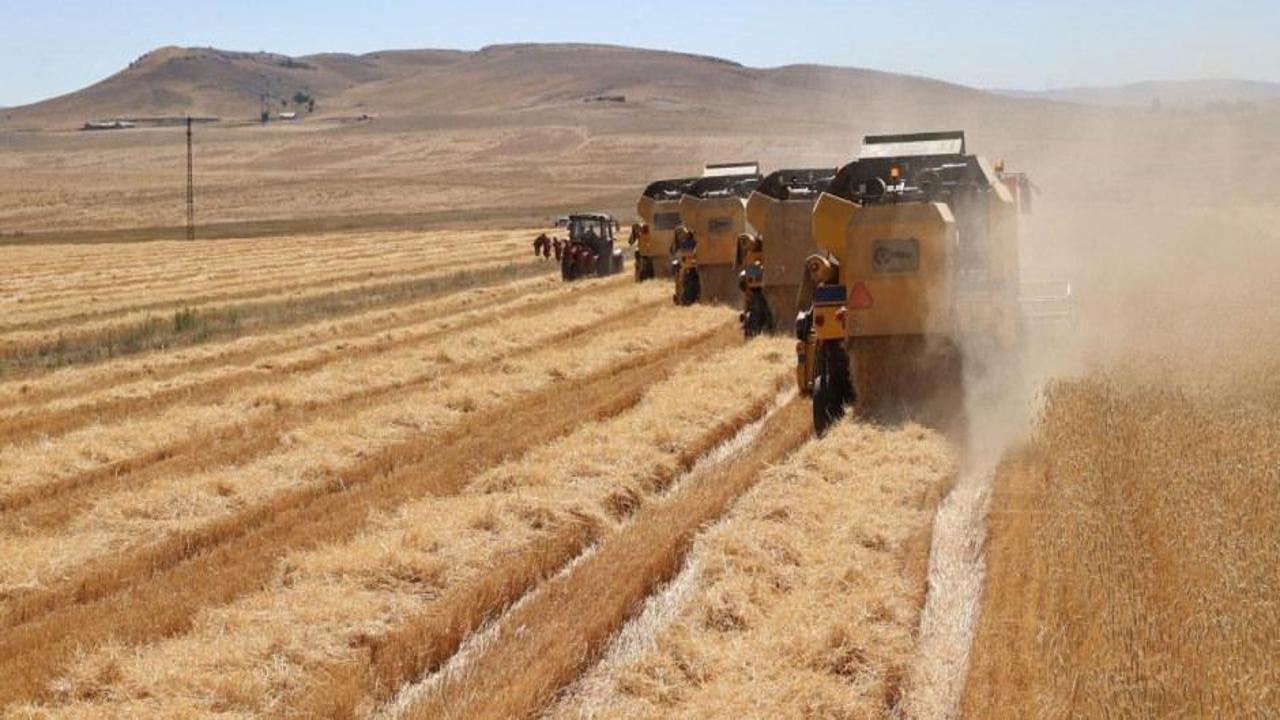 Tarımsal destek ödemeleri hesaplara aktarıldı