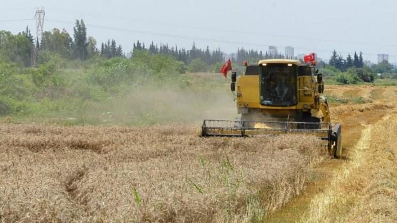 Tarımsal girdi fiyatları temmuzda aylık yüzde 6,56 arttı