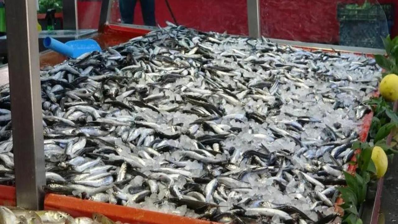 Tezgahlarda bolluk: Fiyatı 40 TL birden düştü