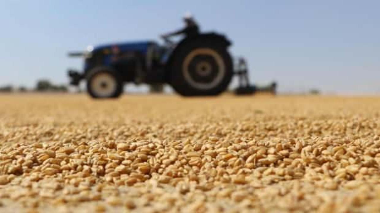 Türkiye’den 8 ayda 85 milyon 386 bin dolarlık bulgur ihracatı!