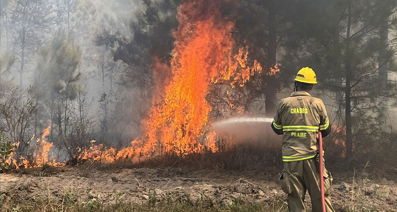 Texas’ta orman yangını: 4 bin 428 dönüm alan yandı