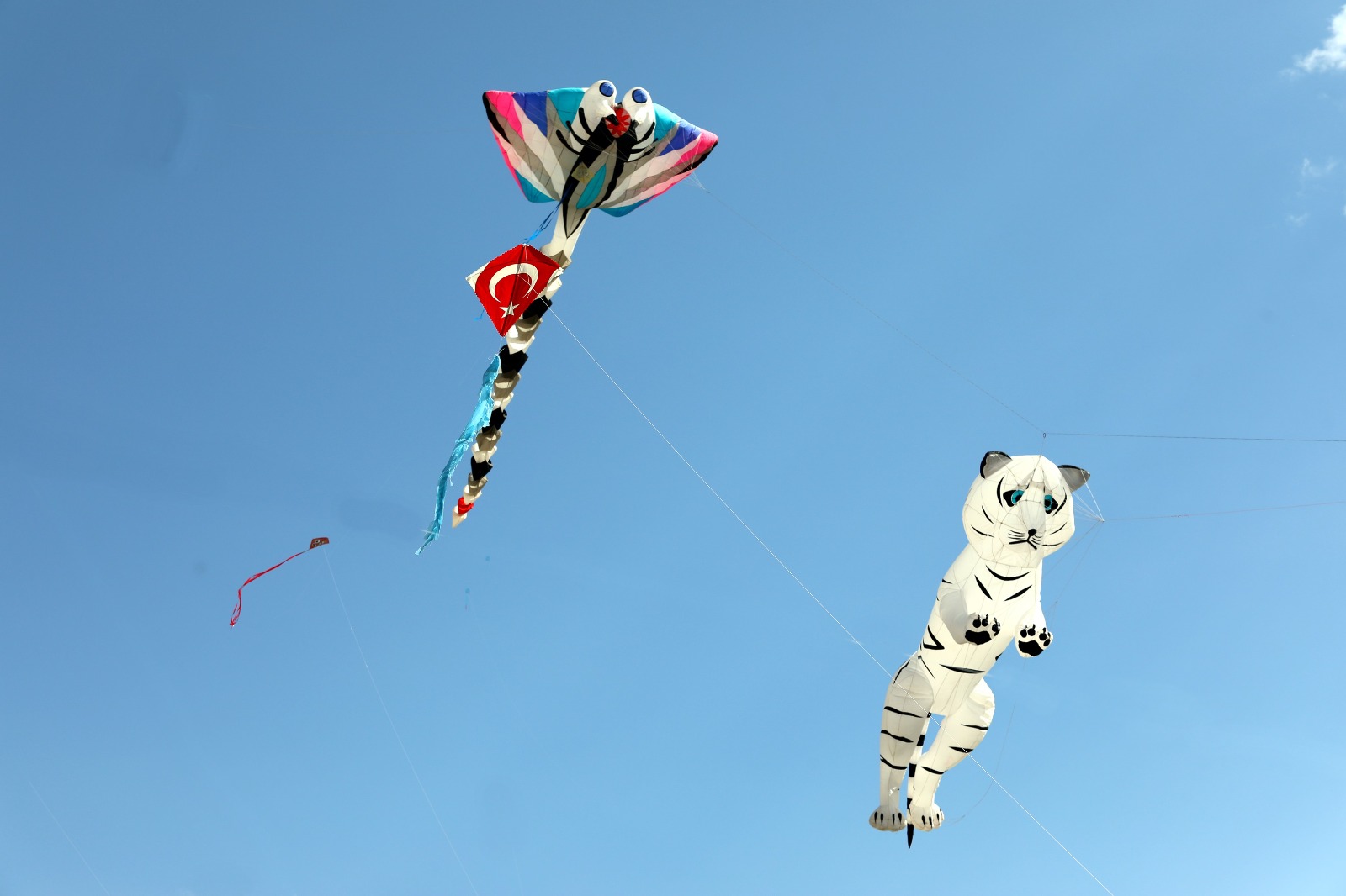 Van semalarını uçurtmalar süsledi