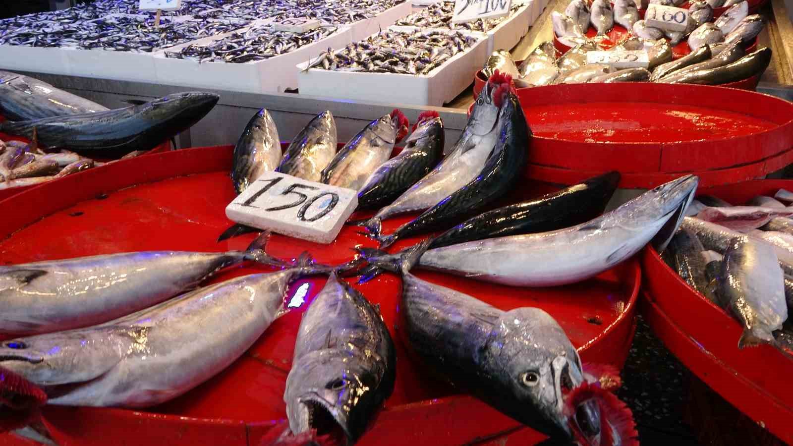 Hamsinin fiyatı inişli çıkışlı seyrediyor