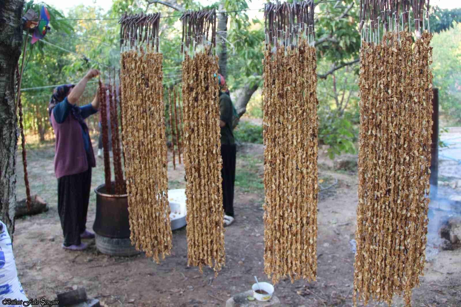 Halkapınar’da cevizli bandırma mesaisi başladı