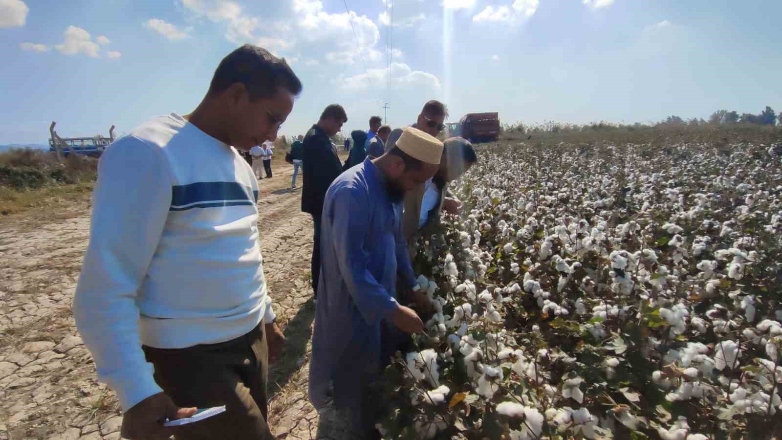 Aydın’ın Bangladeş’li konukları Söke Ovası’nda pamuğu yakından inceledi