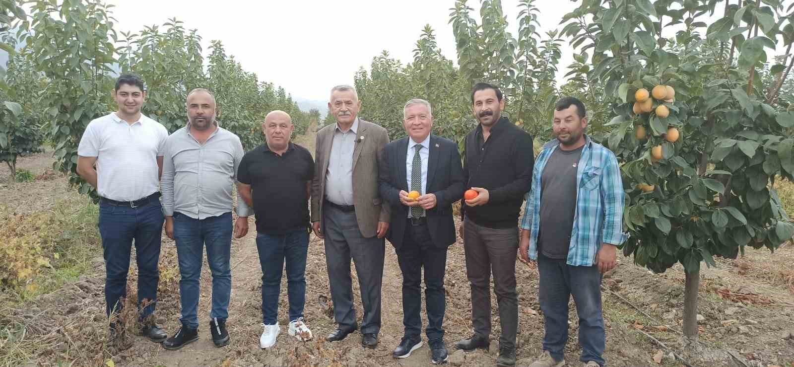 Honaz’da cennet hurması üreticileri nefes alacak