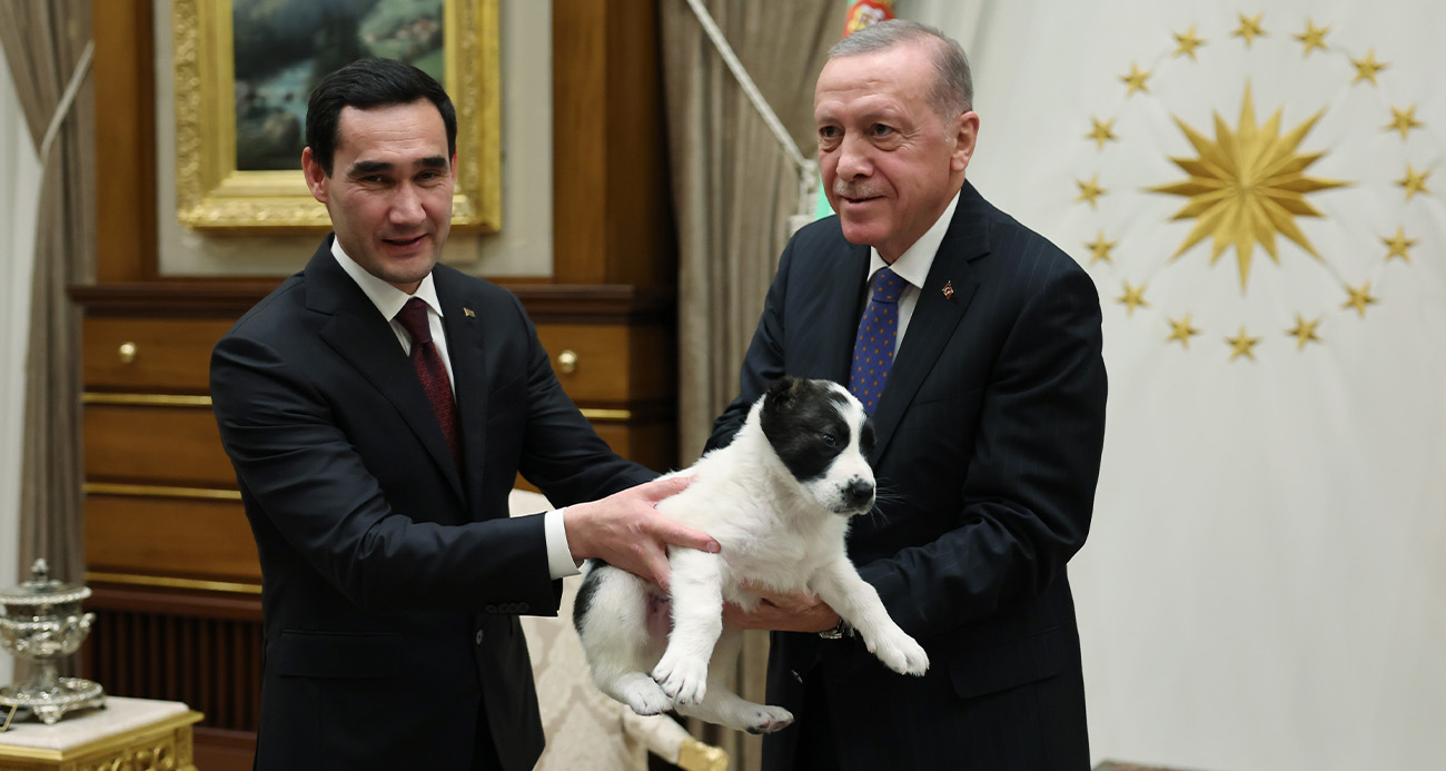 Cumhurbaşkanı Erdoğan ve Berdimuhammedov birbirlerine köpek hediye etti