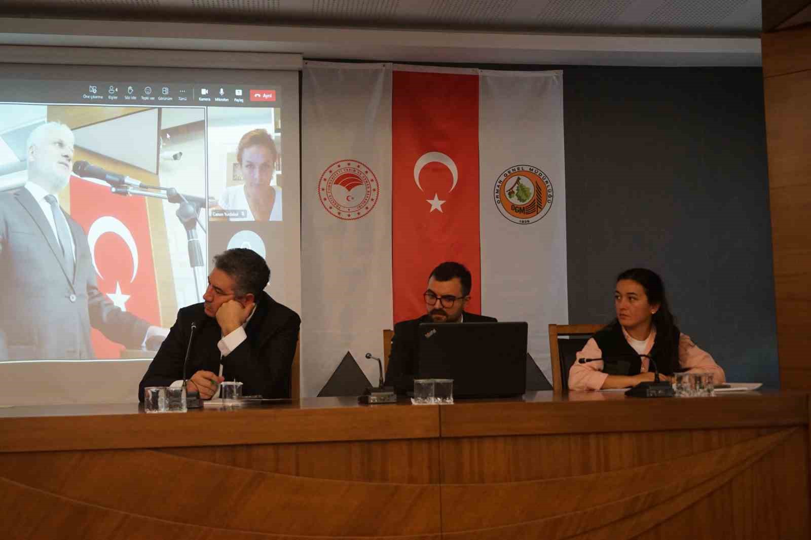 Ormanda yetişen kestaneden 50 milyar lira gelir elde edilmesi hedefleniyor
