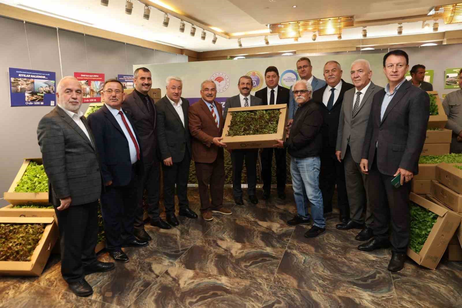 Ordu’da 4,5 yılda 3 milyon sebze fidesi vatandaşlara dağıtıldı