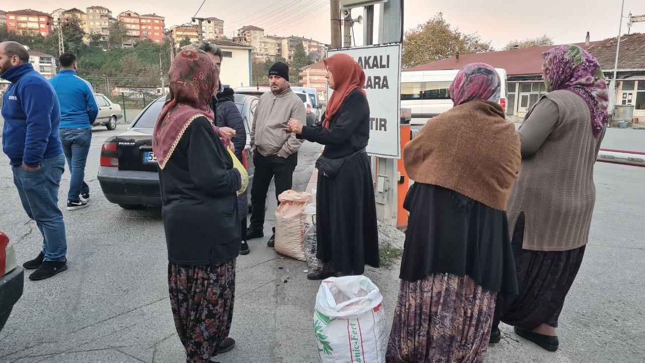 Kestane için pazarda borsa kurdular