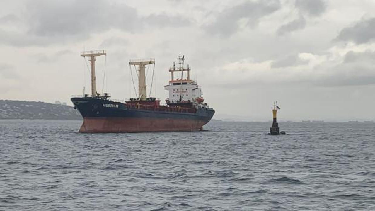 Kuru yük gemisi Maltepe açıklarında karaya oturdu