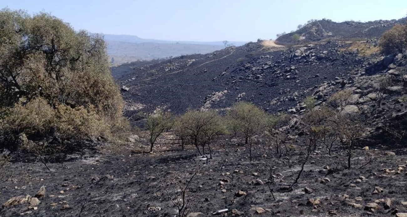 Arjantin’de orman yangını yerleşim bölgelerine sıçradı
