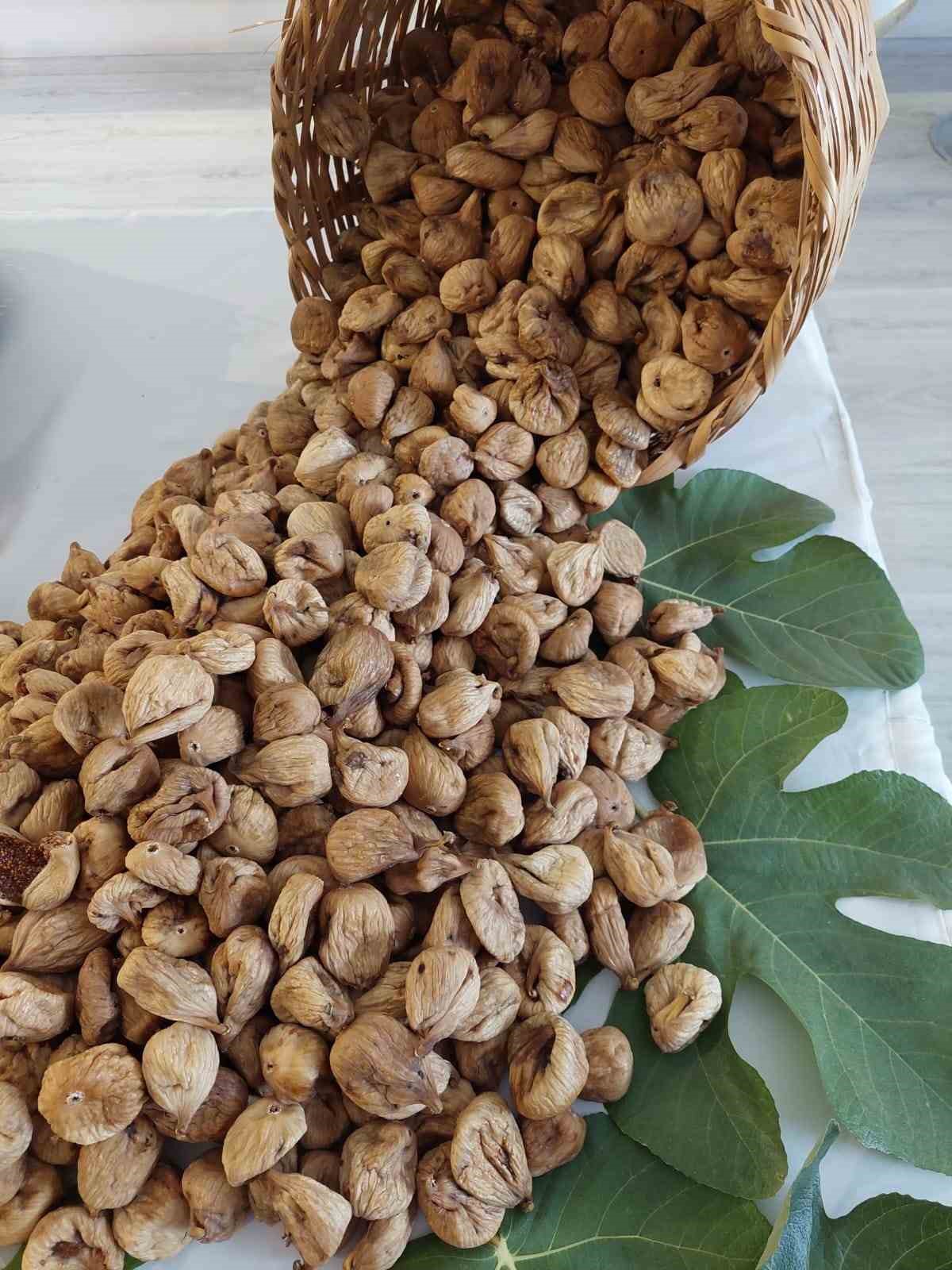 Aydın’ın mili meyvesi kuru incir ihracatı 73 bin 388 ton ile 260 milyon dolara ulaştı
