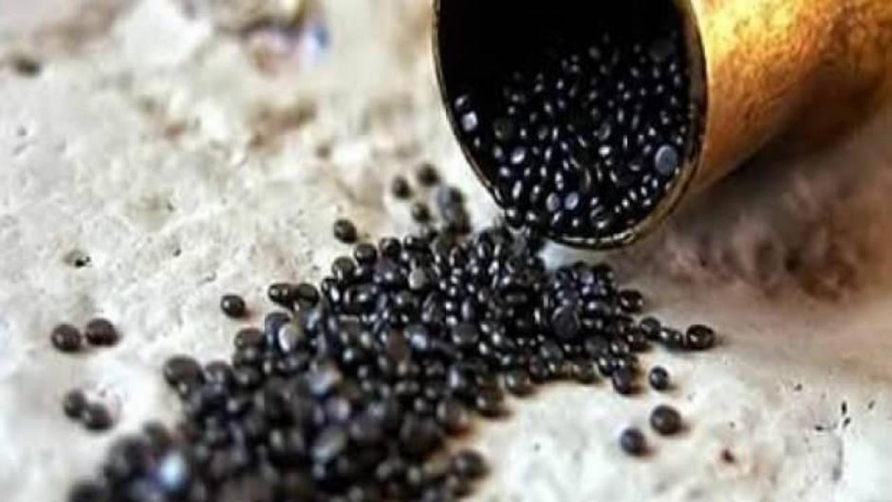 Yeni barut fabrikası kuruluyor: Yıllık 4 ton üretim yapacak