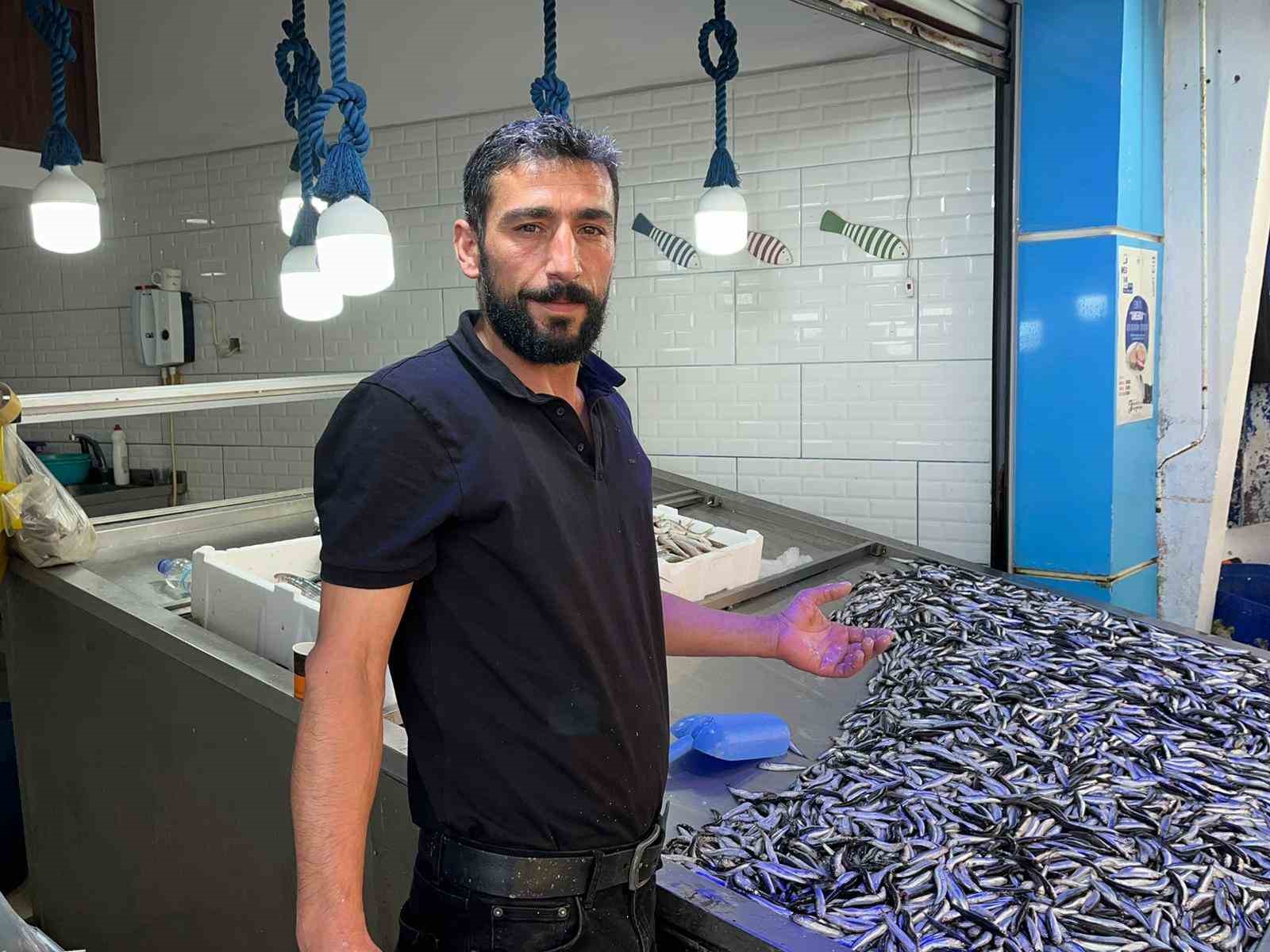 Sinop hamsisi azaldı: Kilosu 60 lira