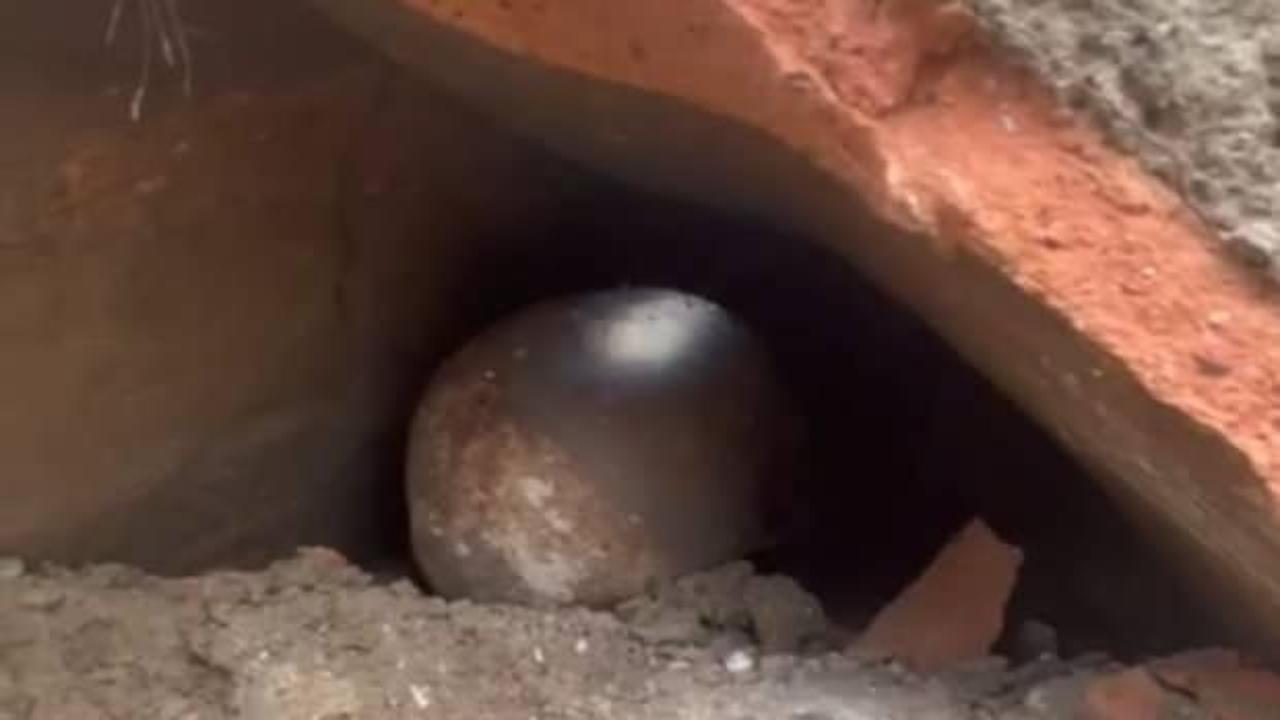 İnşaat kazısında bulundu! Bakanlık izniyle çıkartılabilecek…