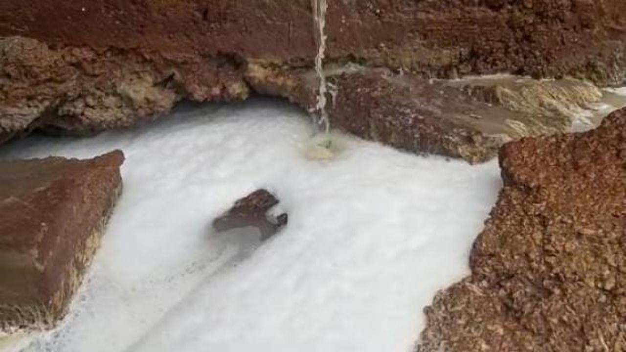 Kocaeli’de ‘kimyasal madde boşaltıldı’ iddiasına inceleme