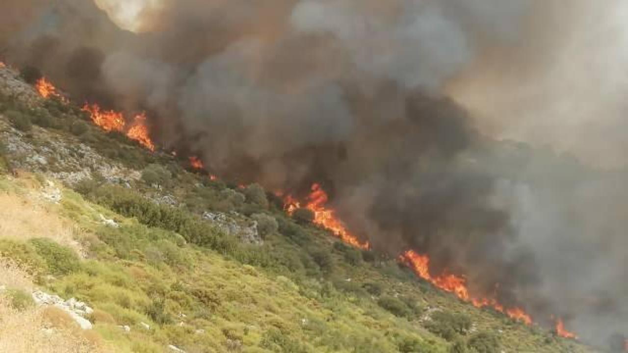 Son Dakika: Muğla’da makilik yangını!