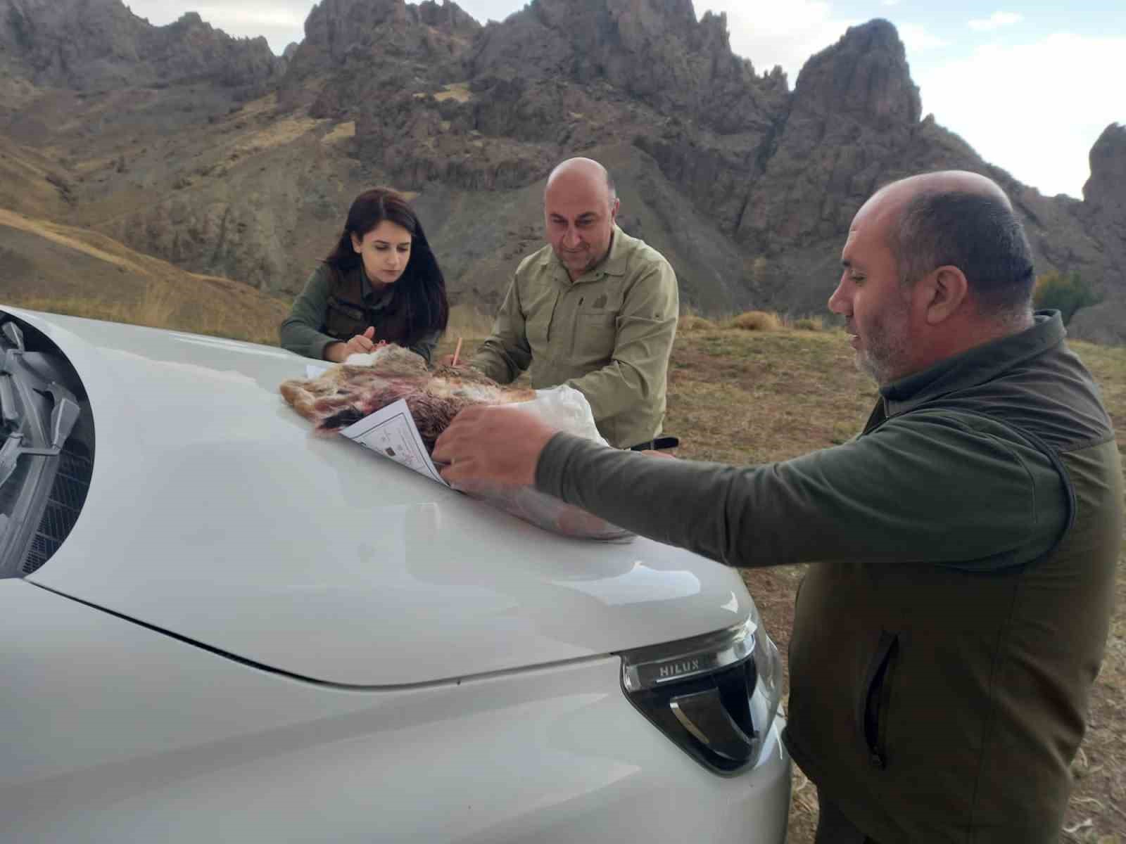 Özalp’ta kaçak avlanan 3 kişi hakkında işlem yapıldı