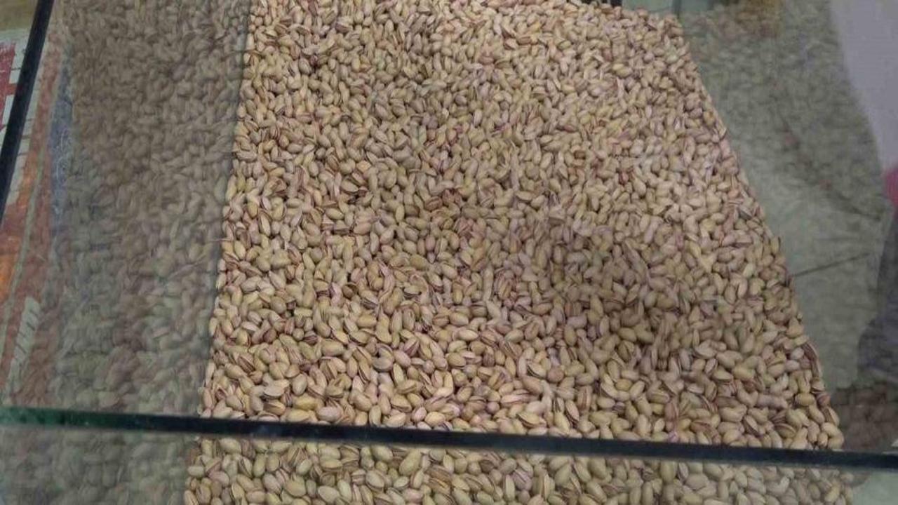 Siirt fıstığı tezgaha indi, fiyatı cep yaktı