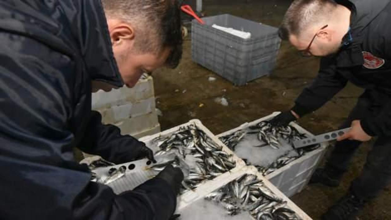 Su ürünleri avcılığında hileye geçit yok: 9 bin 745 denetim