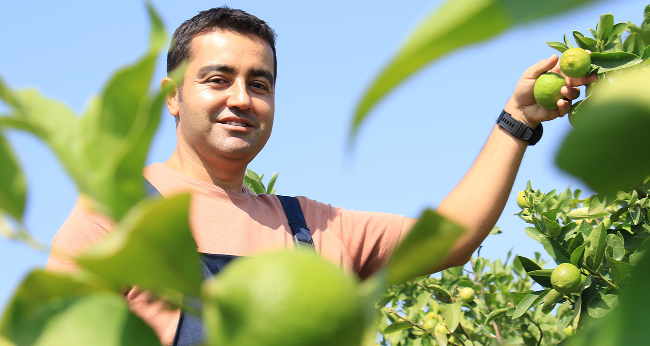 Bu limon ’yeşil limon’ fiyatı: 40 TL, diğerleri 3 TL