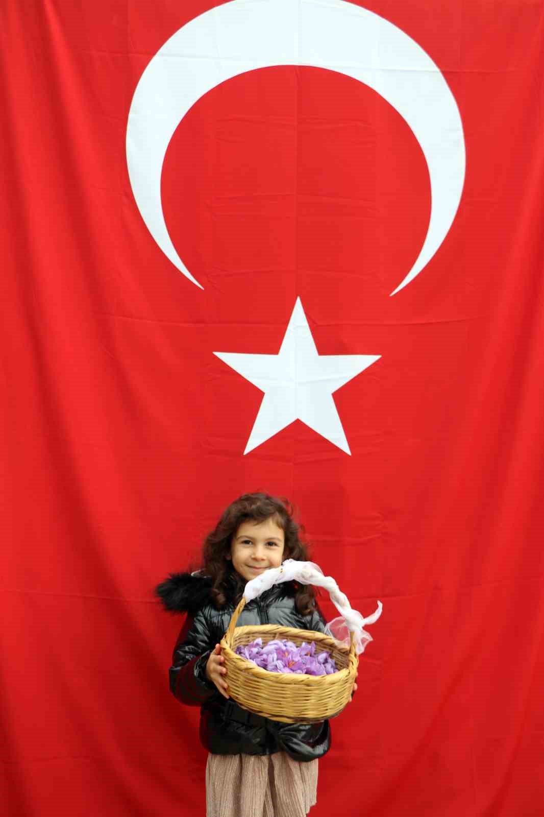 Safran tarlasını 40 günde 70 bin kişi ziyaret etti