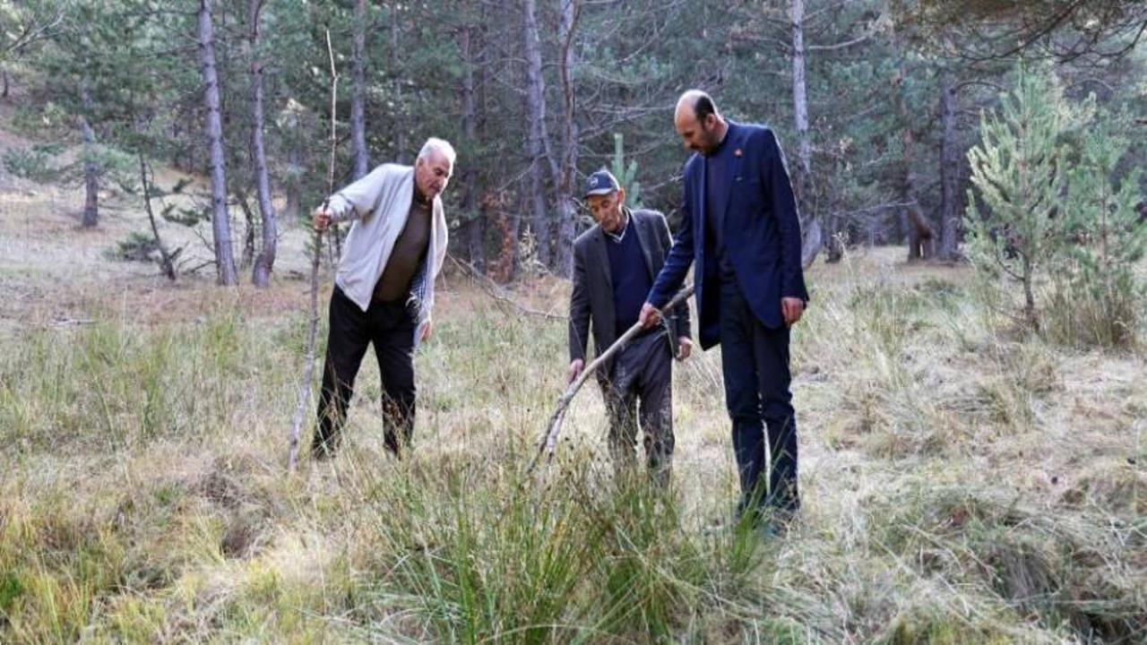 Yiğidoların diyarında petrol heyecanı! Her yerden fışkırıyor