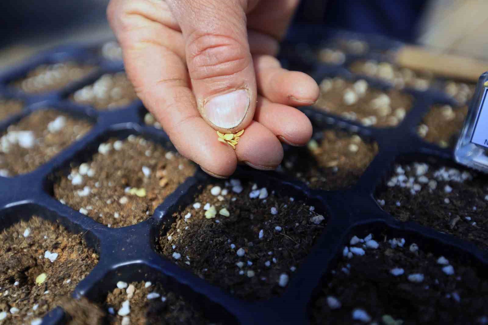 Cumhuriyet’in 100. yılında 1 Milyon yerel tohum dağıtılacak