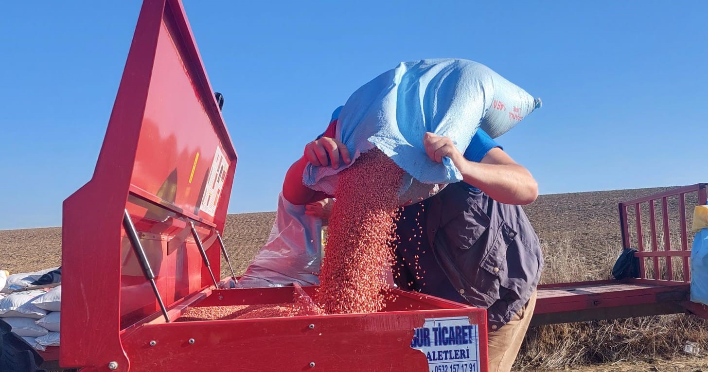 Türkiye’nin buğday ambarında ekim zamanı