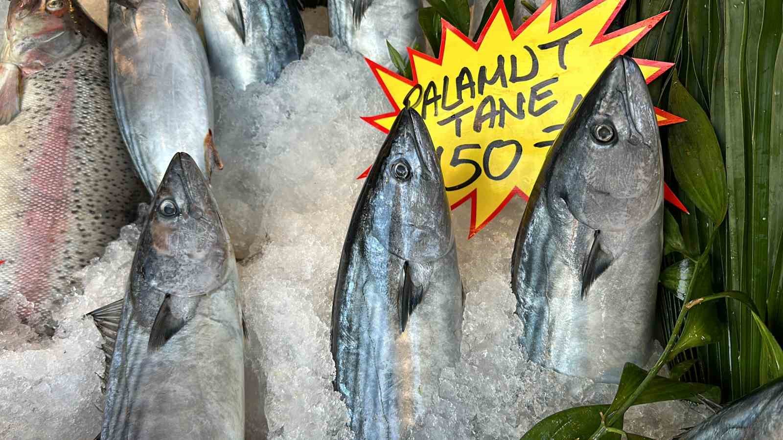 Palamut az da olsa tezgaha indi