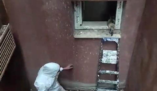 Havalandırma boşluğuna düşen kedi üniversite personeli tarafından kurtarıldı